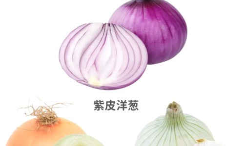 牛排的营养成分有哪些-牛排的营养成分网-分享牛排营养成分含量图表，牛排的营养成分含量表知识库